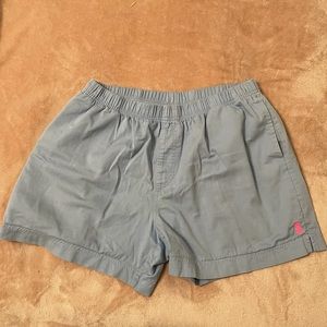 Chubbies Dad Shorts